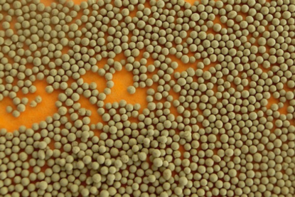 玻璃噴砂用金剛砂 訊息 -2-